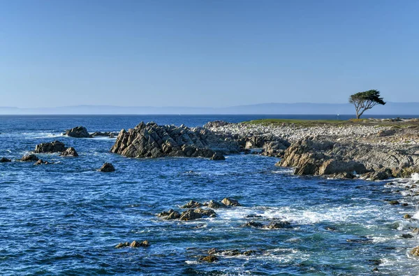 Beautiful View Pebble Beach California Coastline Mile Drive — Stock Photo, Image