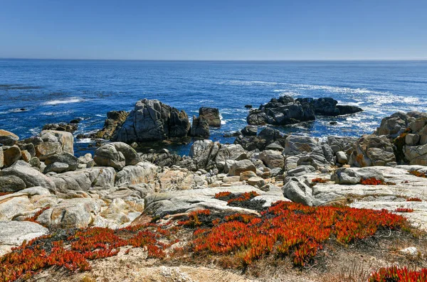 Hermosa Vista Pebble Beach Costa California Largo Millas Coche —  Fotos de Stock