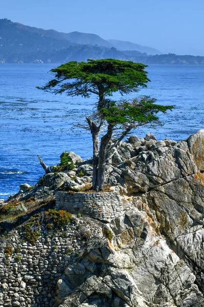 Beautiful View Pebble Beach California Coastline Mile Drive — Stock Photo, Image