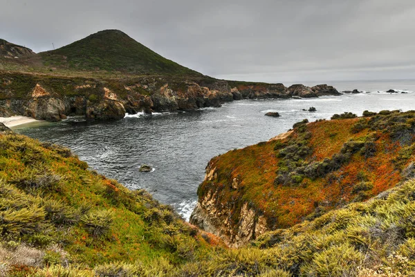 Pohled Skalnaté Pobřeží Tichého Oceánu Národního Parku Garrapata Kalifornie — Stock fotografie