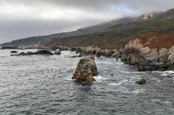 Pohled Skalnaté Pobřeží Tichého Oceánu Národního Parku Garrapata Kalifornie — Stock fotografie