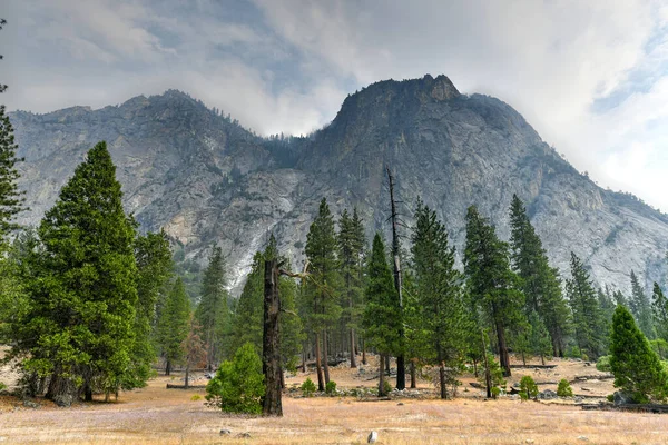 South Fork Kings River Kings Canyon National Park Kalifornien — Stockfoto