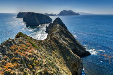 Manzara Inspiration Point, Anacapa Adası, Kaliforniya Channel Adaları Ulusal Parkı.