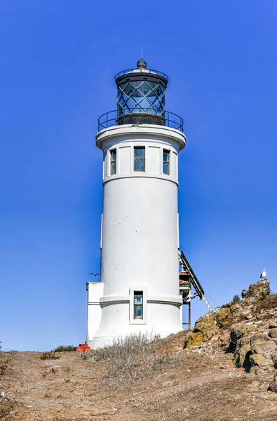 Faro Dell Isola Anacapa Con Gabbiani Nidificanti Channel Islands National — Foto Stock