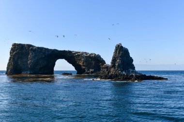 Anacapa Adası 'ndaki Arch Rock, Channel Adaları Ulusal Parkı, Kaliforniya.