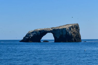 Anacapa Adası 'ndaki Arch Rock, Channel Adaları Ulusal Parkı, Kaliforniya.