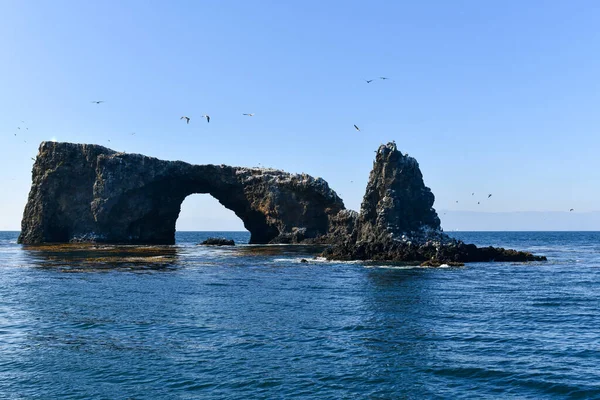 Arch Rock Anacapa Island Channel Islands National Park California — Stock Photo, Image