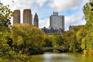 Central Park, New York 'taki Bow Köprüsü' nün panoramik görüntüsü.