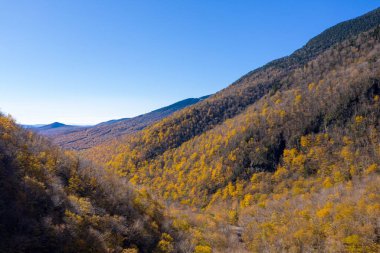 Kaçakçılar Notch, Vermont 'ta sonbahar yeşilliklerinin panoramik görünümü.