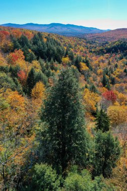Stowe, Vermont 'taki tepedeki düşüşün panoramik manzarası.