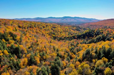 Stowe, Vermont 'taki tepedeki düşüşün panoramik manzarası.