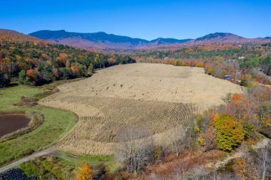 Stowe, Vermont 'ta sonbahar yapraklarının zirve yaptığı bir mısır labirentinin havadan görünüşü.