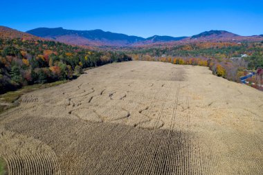Stowe, Vermont 'ta sonbahar yapraklarının zirve yaptığı bir mısır labirentinin havadan görünüşü.