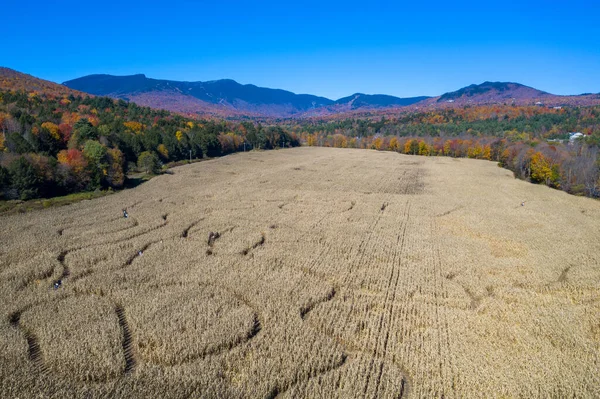 Stowe, Vermont 'ta sonbahar yapraklarının zirve yaptığı bir mısır labirentinin havadan görünüşü.