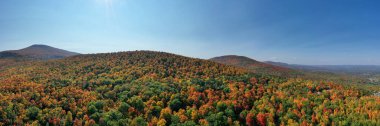Beş eyalet boyunca New York 'un kuzeyindeki Catskill Dağları boyunca sonbahar yeşilliklerinin havadan görünüşü.