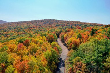 Beş eyalet boyunca New York 'un kuzeyindeki Catskill Dağları boyunca sonbahar yeşilliklerinin havadan görünüşü.