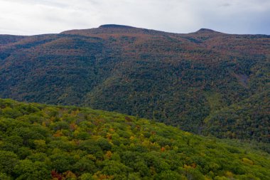 New York 'un kuzeyindeki Catskill Dağları' nda Kaaterskill Şelaleleri ve Sonbahar Yaprakları.
