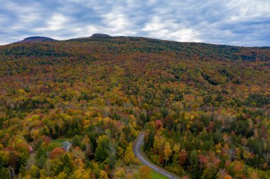 New York 'un kuzeyindeki Haines Falls' da güzel bir sonbahar yeşilliği..