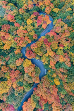 Kaçakçılar Notch, Vermont 'taki tepeden düşen yaprakların panoramik görünümü.
