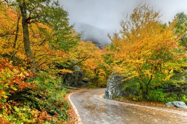 Kaçakçılar Notch, Vermont 'taki tepeden düşen yaprakların panoramik görünümü.