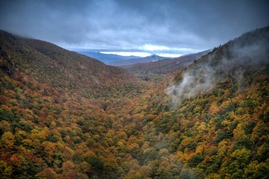 Kaçakçılar Notch, Vermont 'taki tepeden düşen yaprakların panoramik görünümü.
