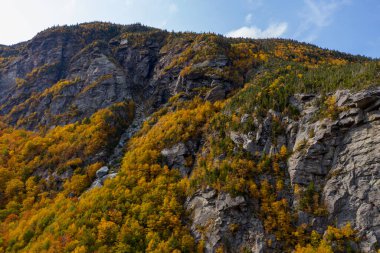 Kaçakçılar Notch, Vermont 'taki tepeden düşen yaprakların panoramik görünümü.