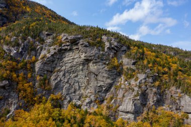 Kaçakçılar Notch, Vermont 'taki tepeden düşen yaprakların panoramik görünümü.