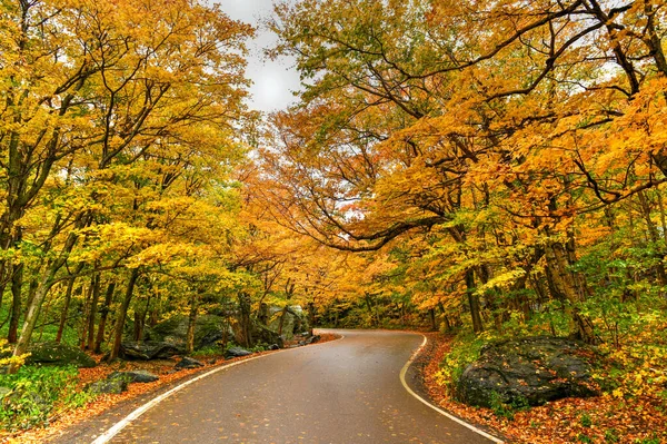 Panoramautsikt Över Topp Fall Lövverk Smugglare Hack Vermont — Stockfoto