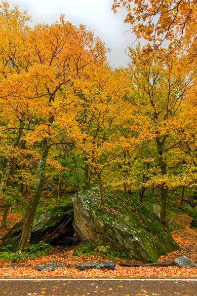 Panoramic View Peak Fall Foliage Smugglers Notch Vermont — Stock Photo, Image