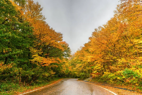 Panoramic View Peak Fall Foliage Smugglers Notch Vermont — Stock Photo, Image