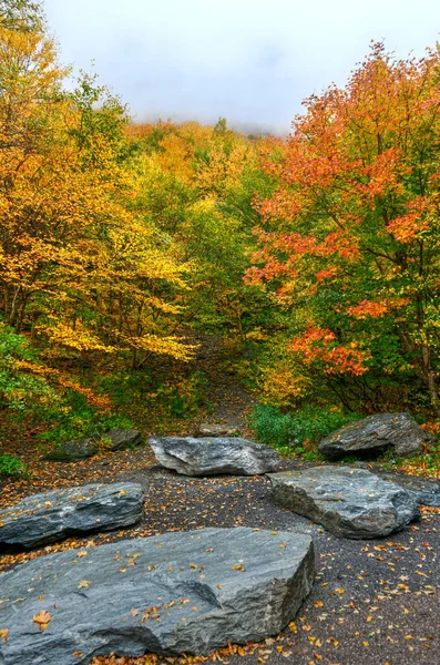 バーモント州スマグラーノッチのピークの紅葉のパノラマビュー — ストック写真