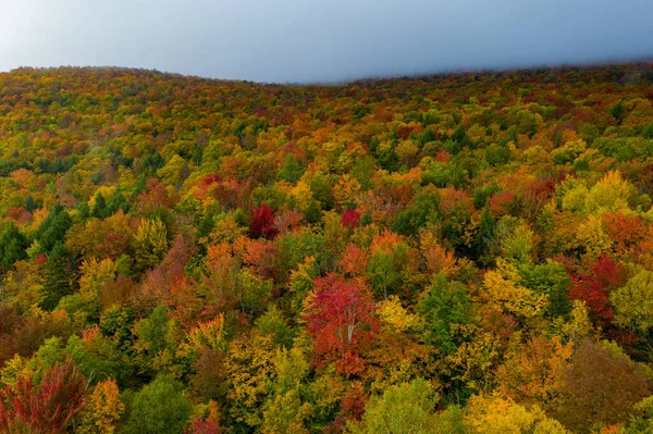 Aerial View Vermont Surrounding Area Peak Foliage Fall — Stock Photo, Image