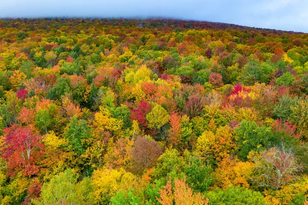 Aerial View Vermont Surrounding Area Peak Foliage Fall — Stock Photo, Image