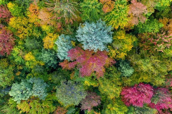 Vista Aérea Vermont Los Alrededores Durante Follaje Pico Otoño — Foto de Stock