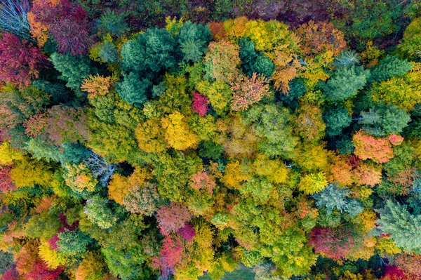 Widok Lotu Ptaka Vermont Okolice Podczas Szczytowych Liści Jesienią — Zdjęcie stockowe
