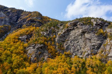 Kaçakçılar Notch, Vermont 'taki tepeden düşen yaprakların panoramik görünümü.