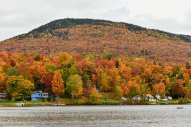 Elmore Gölü 'nün Güzel Sonbahar Yaprakları ve Suyu Yansımaları ile Amerika' nın Vermont, Elmore şehrinde