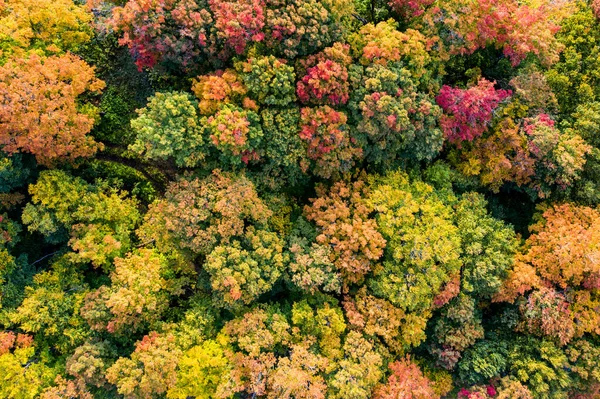 Widok Lotu Ptaka Mount Mansfield Okolicę Podczas Szczytowego Żerowania Fall — Zdjęcie stockowe