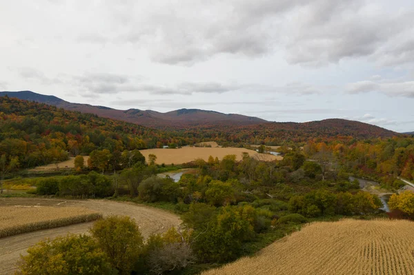 Vista Aérea Los Campos Maíz Vermont Durante Otoño —  Fotos de Stock