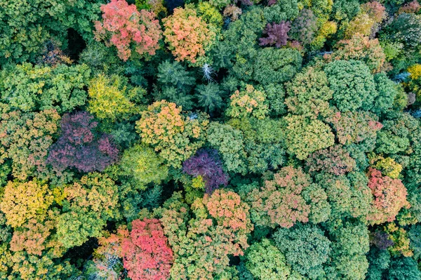 Luftaufnahme Von Vermont Und Umgebung Während Des Laubgipfels Herbst — Stockfoto