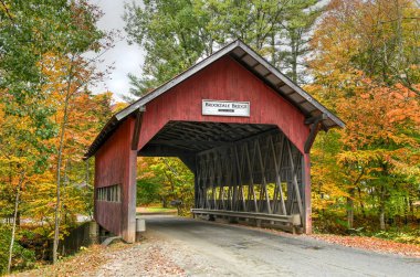 Brooklyn Köprüsü Stowe, Vermont 'ta sonbahar yeşillikleri sırasında Batı Şubesi' nin üzerindeki Little River.