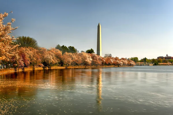 Waszyngton Usa Przy Basenie Pływowym Pomnikiem Waszyngtona Sezonie Wiosennym — Zdjęcie stockowe