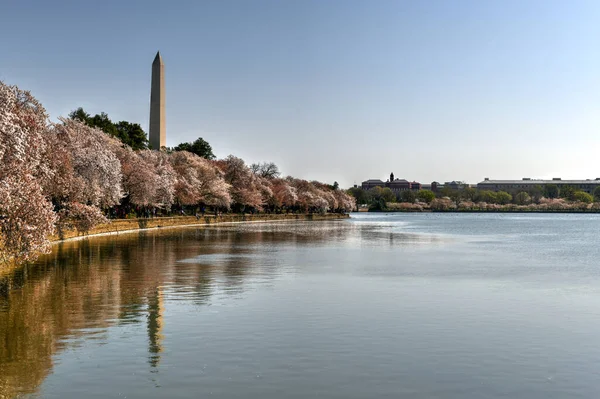 Washington Eua Bacia Maré Com Monumento Washington Temporada Primavera — Fotografia de Stock