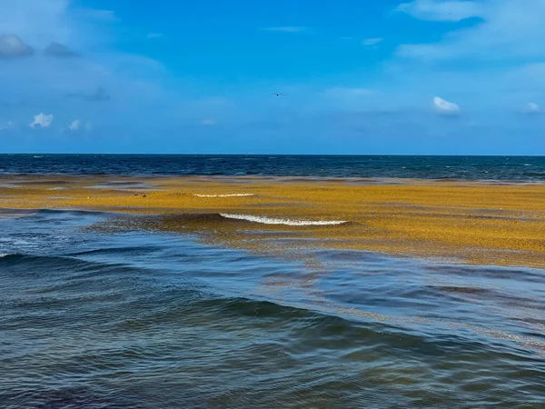 Błękitne Wody Tulum Meksyk Wodorostami Morskimi Falach — Zdjęcie stockowe
