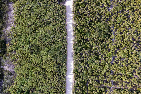 Die Malerische Luftlandschaft Der Halbinsel Tulum Quintana Roo Mexiko — Stockfoto