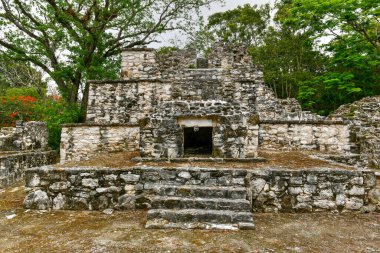 Tulum, Meksika yakınlarındaki Sian Kaan 'daki Muyil Maya Kalıntıları 7H3.