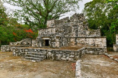 Tulum, Meksika yakınlarındaki Sian Kaan 'daki Muyil Maya Kalıntıları 7H3.