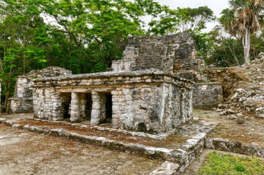 Tulum, Meksika yakınlarındaki Sian Kaan 'daki Muyil Maya Kalıntıları 7H3.