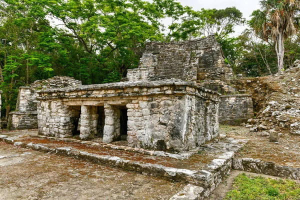 Muyil Mayan Ruínas Edifício 7H3 Sian Kaan Perto Tulum México — Fotografia de Stock