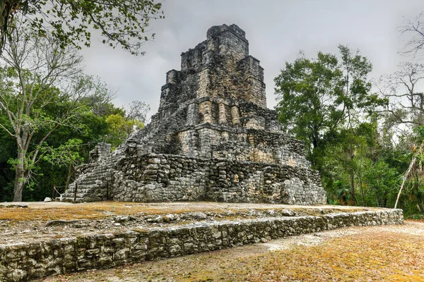 Muyil Maya Ruiner Pyramid Sian Kaan Nära Tulum Mexiko Stockfoto